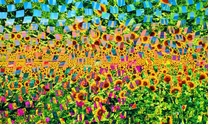 Sunflowers (2022)